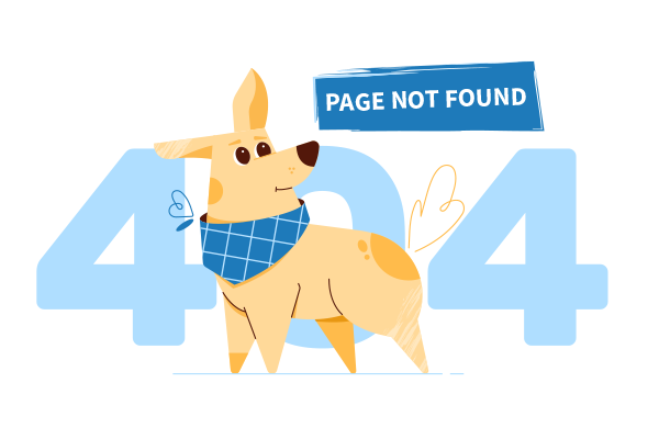 404 page not found